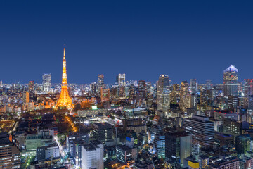 Fototapeta na wymiar Tokyo, Japan Modern Urban Skyline