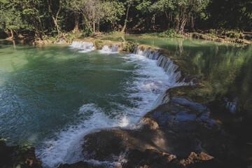 Obraz premium Deep forest waterfall stream view. Forest waterfall creek. Waterfall in deep forest. Waterfall river forest scene