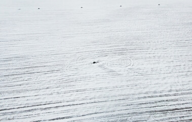 Top view of a huge penis drawn on a snowfield