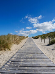 Fototapeta na wymiar Path at the dunes of Petten, The Neterlands