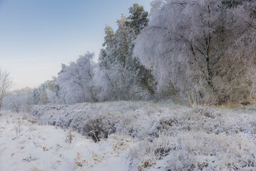 Obraz na płótnie Canvas Frozen trees covered in snow landscape view