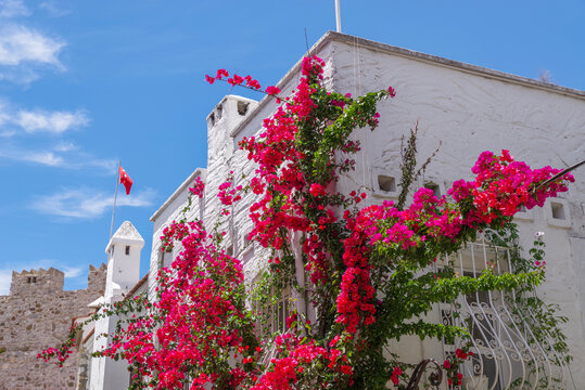 Old streets of Marmaris