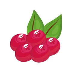 berries delicious fresh fruit nature icon vector illustration design