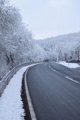 Straße durch verschneiten Wald