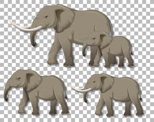 Set of isolated elephants on transparent background