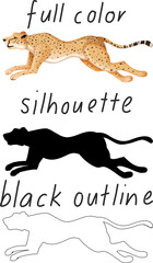 Set of leopard in color, silhouette and black outline on white background