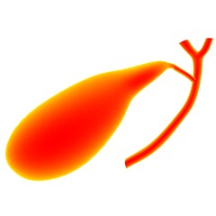 Gall Bladder Human Digestive System Anatomy 3D Rendering