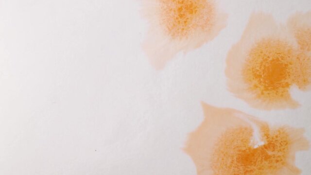 brush strokes of watercolor orange paint with stains on a sheet of white paper. psychedelic concept.