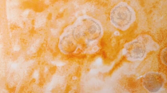brush strokes of watercolor orange paint with stains on a sheet of white paper. psychedelic concept.