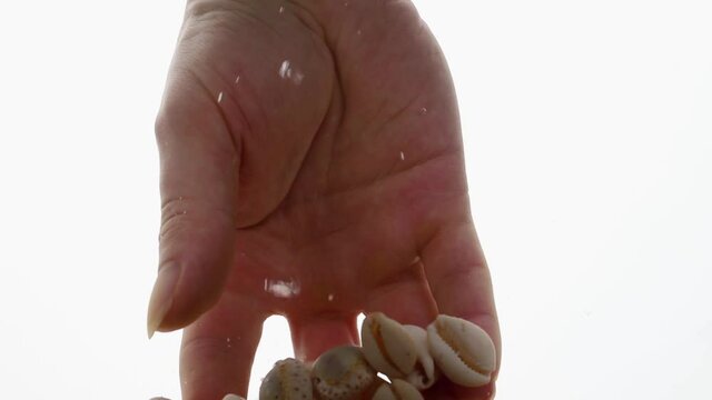 Male hand takes seashells in water in an aquarium on white background, objects into liquid.