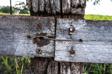 Wooden Fence in Rural Landscape with Bright Sunlight and Green Pasture