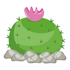 cactu plant exotic with rocks and pink flower vector illustration design