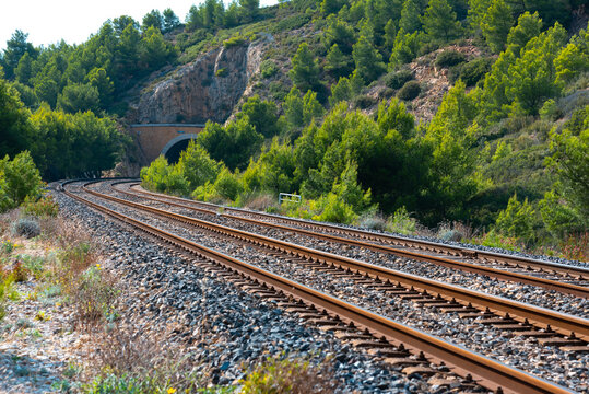 Railway tacks in the South Europe, industrial landscape, railroad along the green forest 