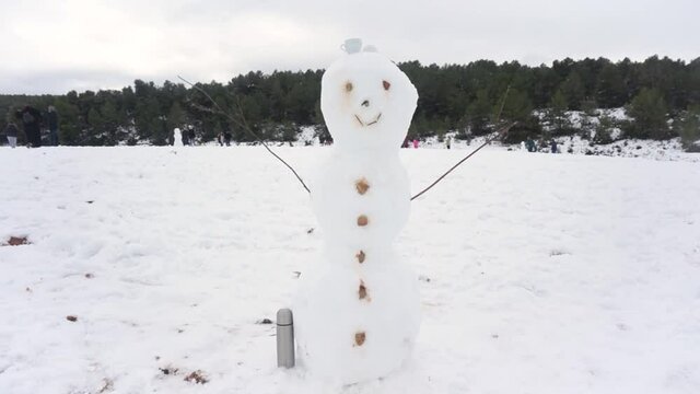 Happy snowman. Winter.