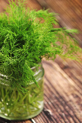 Fototapeta premium A bunch of fresh green dill