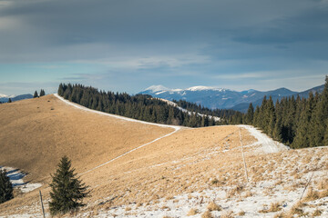 snow-covered path in the Carpathian mountains in winter