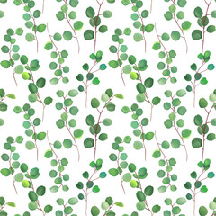 Leaves and branches of eucalyptus.Eucalyptus plant seamless watercolor pattern on white background.