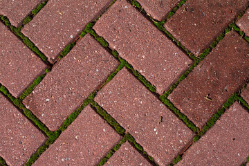 burgundy cobblestone adjacent to green moss
