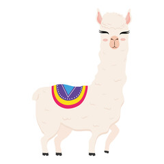 cute alpaca exotic animal with chair ethnicity vector illustration design