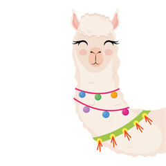 cute alpaca exotic animal with necklaces character vector illustration design