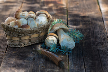 Mushroom  Boletus edulis over Wooden Background, close up on wood rustic table. Cooking delicious organic mushroom. Gourmet food