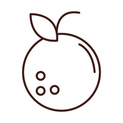 breakfast fresh fruit orange line style