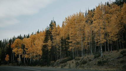 autumn in the mountains