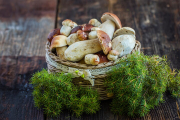 Mushroom Boletus edulis over Wooden Background, close up on wood rustic table. Cooking delicious organic mushroom. Gourmet food