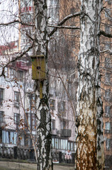 
birdhouse