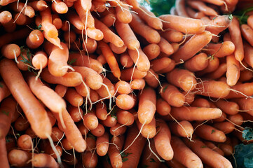 Fresh carrots on sale in local farmers market, Prague, Czech Republic