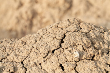 Loose sand beige in desert.