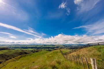 Naklejka premium Countryside near Woodville, North Island, New Zealand