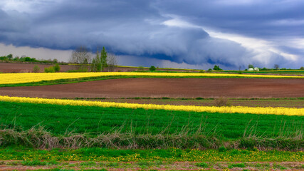 Obraz premium landscape with rapeseed field