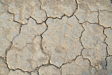 Cracked soil in summer.