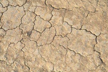 Crack soil on dry season.
