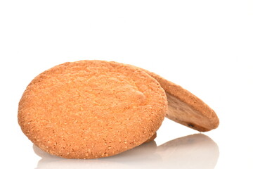 Several freshly baked round American cookies, close-up, isolated on white.
