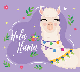Obraz na płótnie Canvas cute alpaca exotic animal with necklaces and letterings vector illustration design