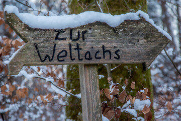 Winterwanderung im Pfälzer Wald