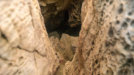 pictures of the rocks at the sea 