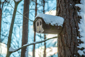 Pfälzer Wald - Winter Wanderung - Weltachs bis Mölschbach