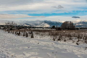 Snowy landscape after the storm Filomena, Galapagar, Madrid, Spain.