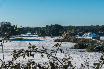 Snowy landscape after the storm Filomena, Galapagar, Madrid, Spain.