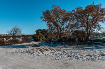 Snowy landscape after the storm Filomena, Galapagar, Madrid, Spain.