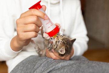 Bottle feeding a small kitten. Bottle feeding kittens with milk. Kittens in people's arms.