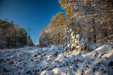 älzer Wald - Winter Wanderung - Weltachs bis Mölschbach



