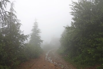 misty morning in the mountains