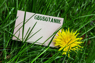 Geobotanik