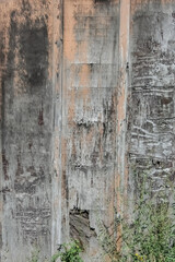 Old wooden vertical wall texture