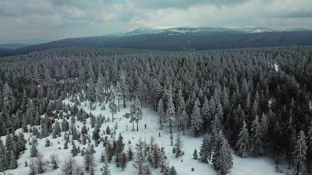 Narty biegowe w Jakuszycach