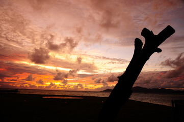 Beautiful tropical sunset with black silhouette of tree in foreground